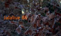 Jalalive 86: Melangkah Bersama Kenangan dan Harapan Baru 