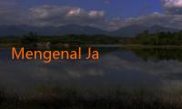 Mengenal Jalalive Byon Combat: Keunikan dan Keunggulannya dalam Dunia Pertarungan 