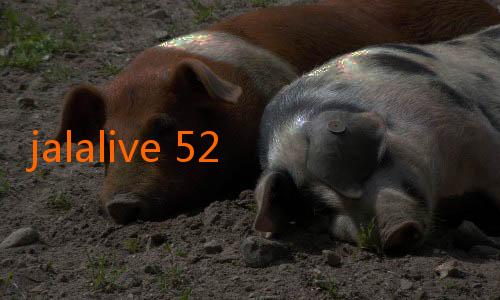 jalalive 52-Jelajah Seru Dunia Jackpot dengan Jalalive VIP APK: Solusi Aman dan Menguntungkan